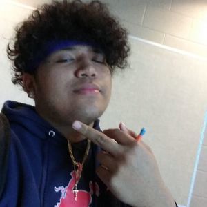 Meet your Posher, Ralph